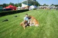 /album/fotogaleria-/spolocna-1-jpg/