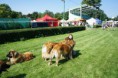/album/fotogaleria-/spolocna-2-jpg/