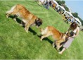 /album/fotogaleria-/spolocna-3-jpg/