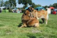 /album/fotogaleria-/spolocna-04-jpg1/