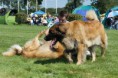 /album/fotogaleria-/spolocna-6-jpg/